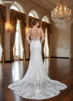 Fitted and Flair - Tulle Lace with Sheer Leg-of-Mutton Long-Sleeve Wedding Dress - LV-M6002-1A