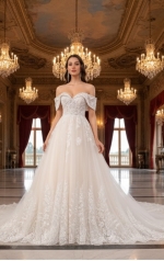 Wedding Dress - Off-Shoulder Lace & Tulle Ballgown Wedding Dress -  BLL-B54663