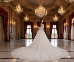 Wedding Dress - Off-Shoulder Lace & Tulle Ballgown Wedding Dress -  BLL-B54663