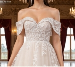 Wedding Dress - Off-Shoulder Lace & Tulle Ballgown Wedding Dress -  BLL-B54663