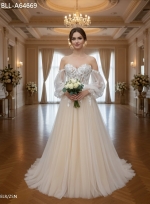 Detachable Off-the-Shoulder Bishop Long Sleeves Tulle A-Line Wedding Dress - BLL-A64669
