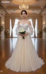 Detachable Off-the-Shoulder Bishop Long Sleeves Tulle A-Line Wedding Dress - BLL-A64669